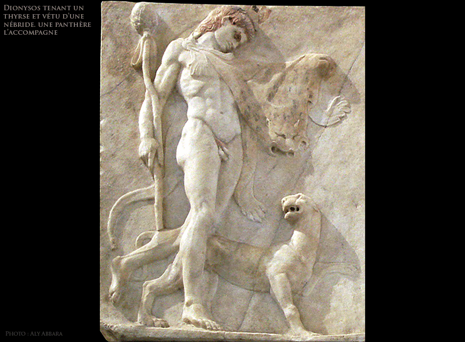 Naples - Musées archéologique - Herculaneum - Thiase - Dionysos accompagné d'une panthère, puis une Ménade et un Satyre