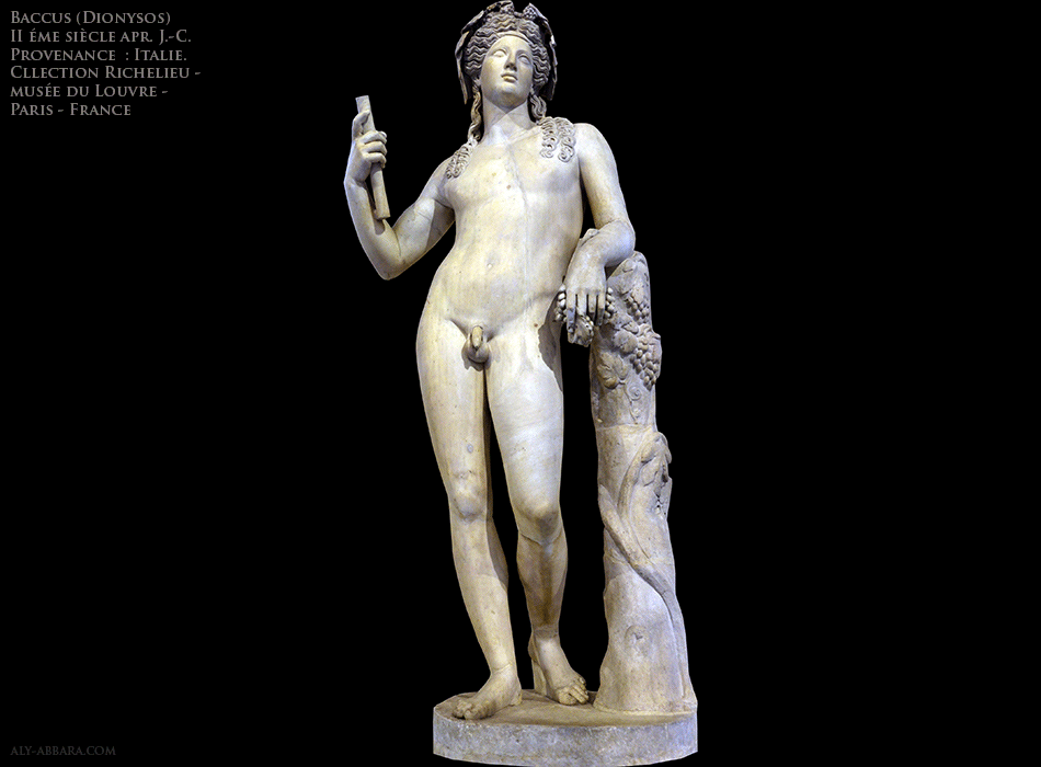 Paris  - France - Musées du Louvre - Collection Richelieu - Dionysos jeune tenant un thyrse et une grappe de raisin