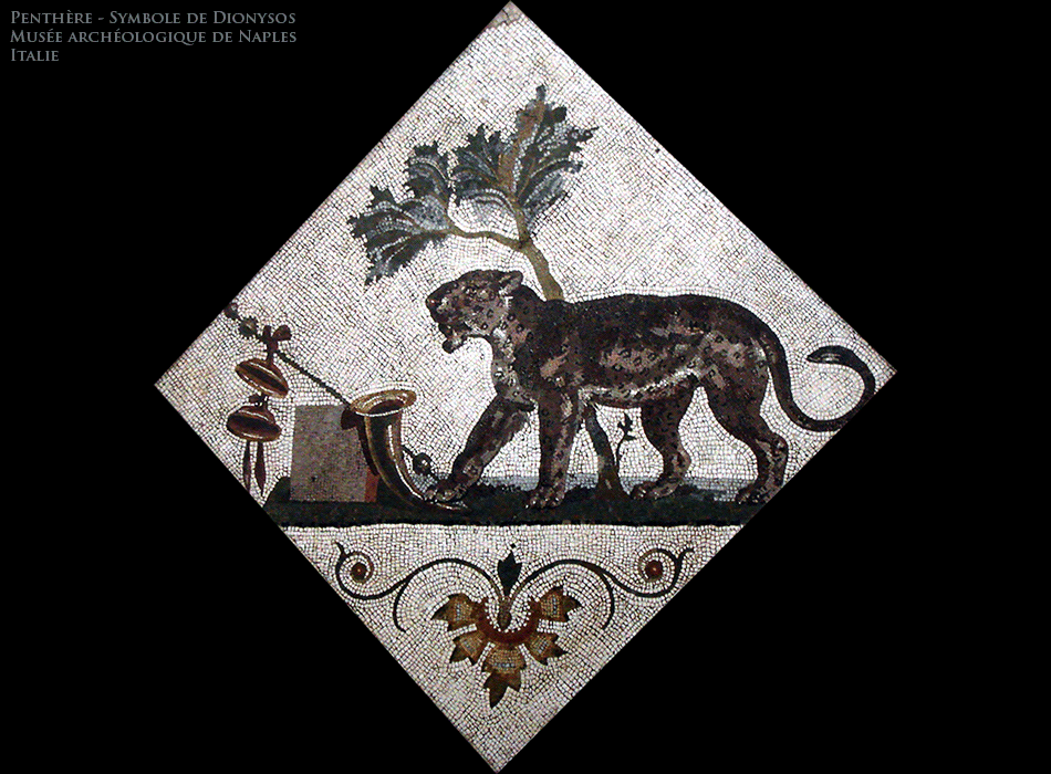 Naples - Musées archéologique - Une panthère, l'animal symbolique de Dionysos