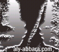 Site du Dr Aly Abbara