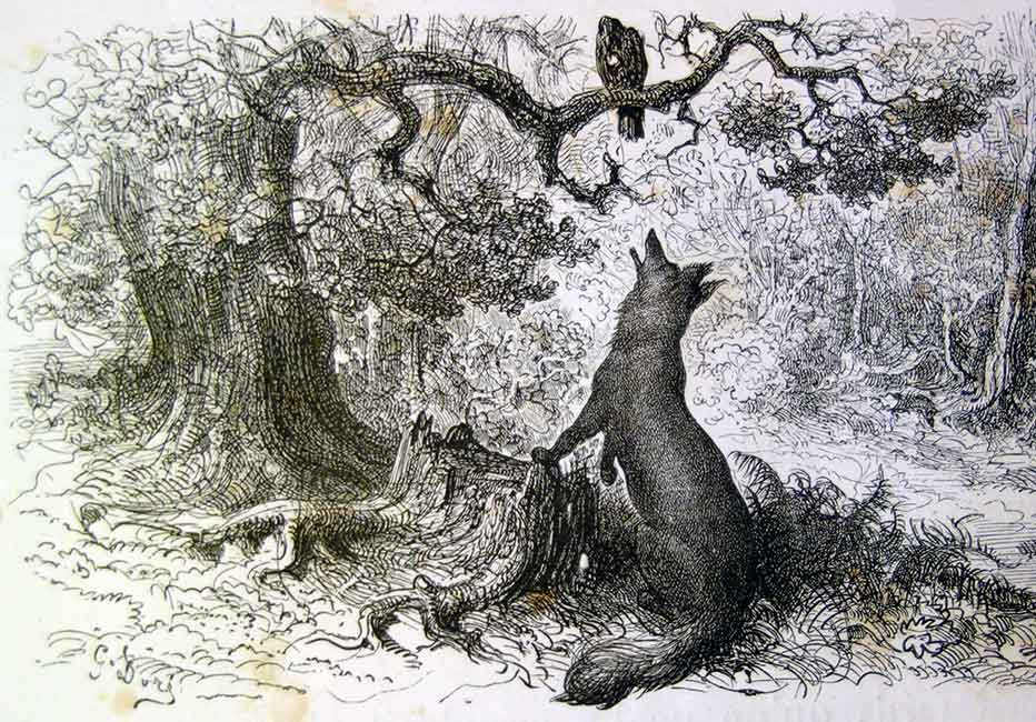 Le corbeau et le renard - gravure de Gustave Doré