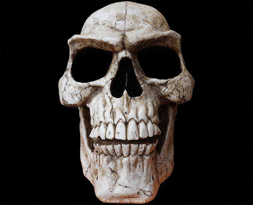 Crâne,  symbole de la mort