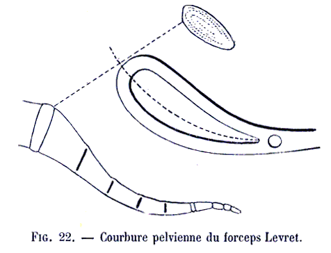 Courbure pelvienne de forceps de Levret