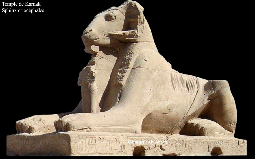 sphinx criocéphales de Ramsès II - Temple du Karnak