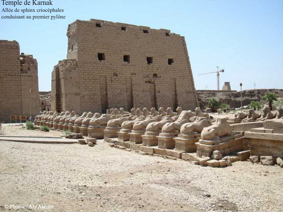 Égypte -Luxor (Louksor) - l'allée de sphinx conduisant au premier pylône du temple de Karnak