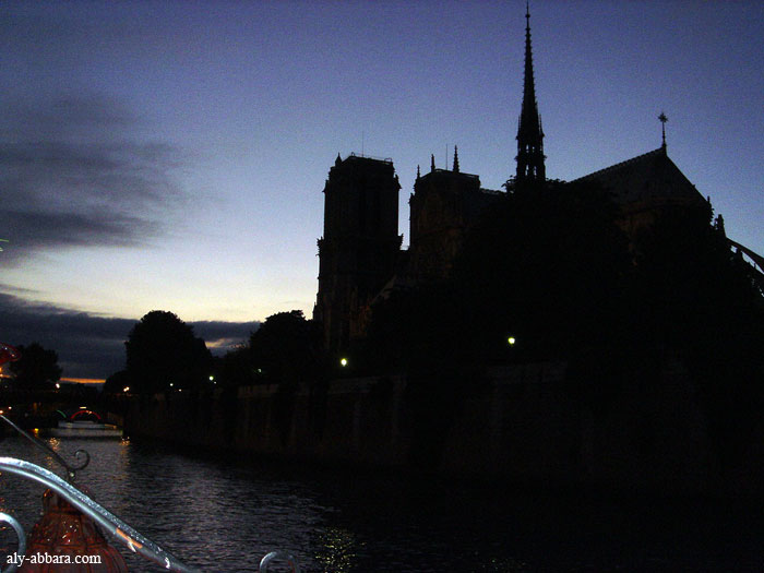 Paris : la Cathédrale de Notre-Dame de Paris - vue nocturne