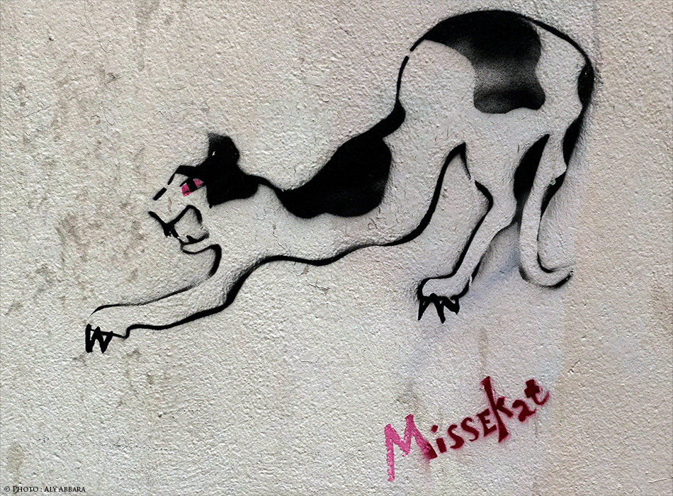 Paris - Art urbain mural - Oeuvre non signée - MissKat