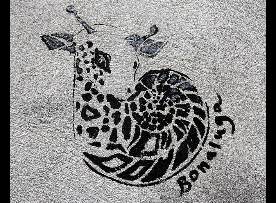 Paris - Art urbain mural - Dessin signé Bonaluga - Chimère : escargot à la tête d'un petit cervidé cornu