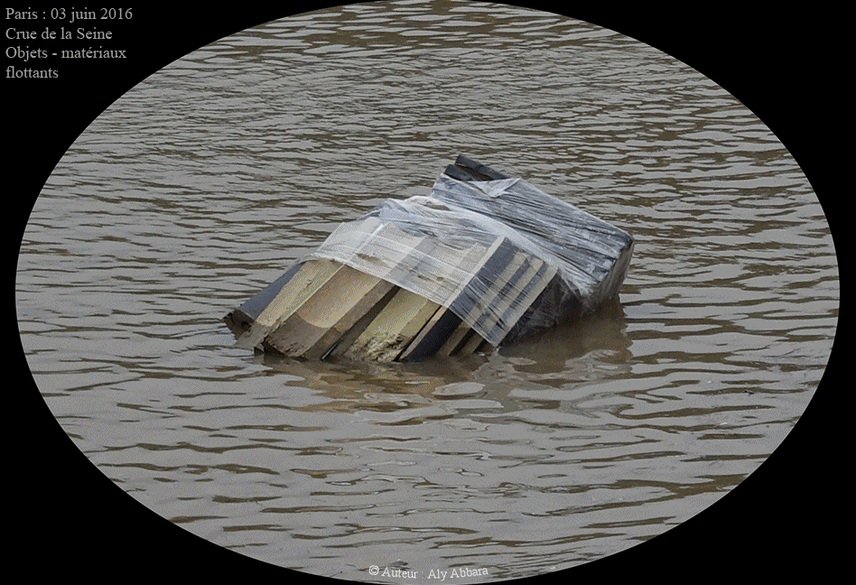 Paris : Crue de la Seine - Objets et matériaux flottants - 03 juin 2016