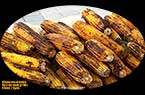 Épis de maïs grillés à la braise - عَرانيس الذُرَة المشوية فوق جَمْر الحَطَب