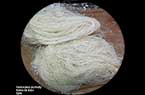 Syrie - Pâtisserie - Homs - les vermicelles du knafy - شعيرات الكنافة  ـ حمص 