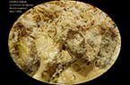Cheikh al-mahchi - courgette farcies de viande et cuisinées dans le yaourt