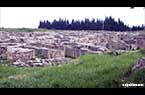 Ugarit : les ruines de l'acropole