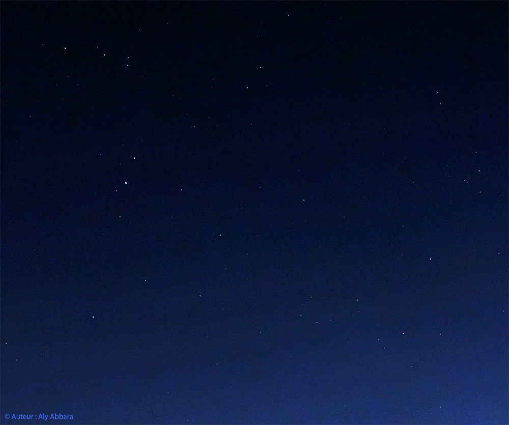 Astronomie - Constellation de l'Aigle - Aquila (Aquilae - Aql) - Altaïr et les étoiles proches