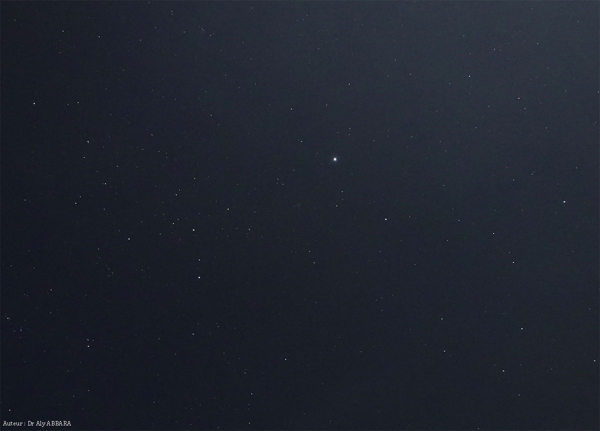 Astronomie - Constellation du Grand Chien - Canis Major (Canis majoris -  CMa) - Great Dog - Image prise au Sud du Cambodge