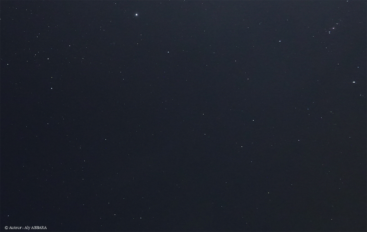 Astronomie - Constellation du Lièvre - Lepus - (Leporis -  Lep) - The Hare