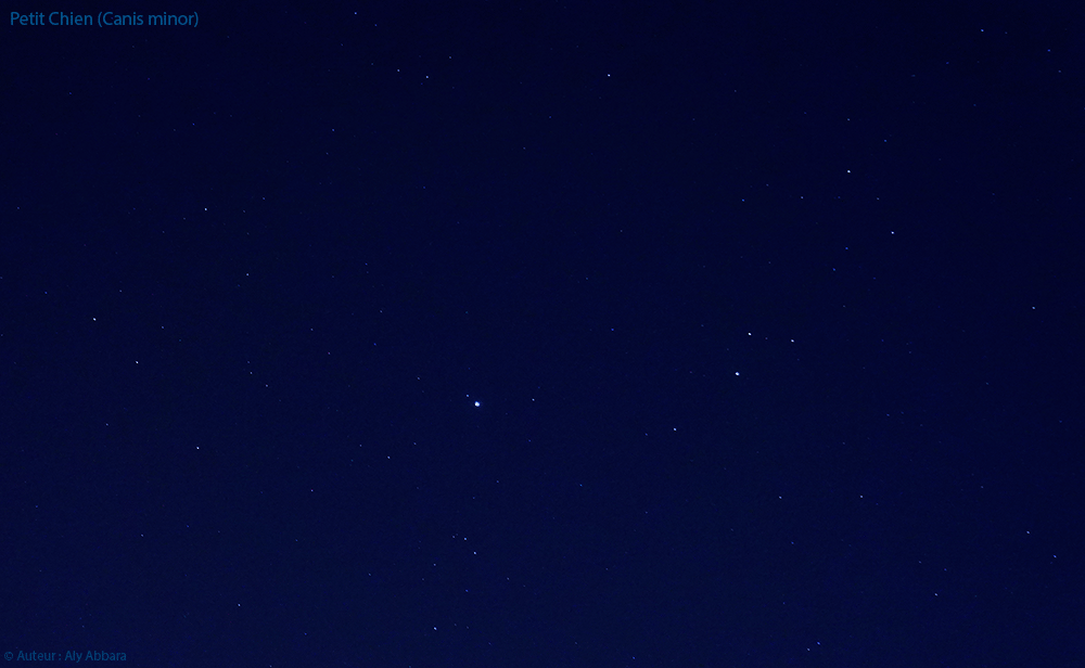 Astronomie - Constellation du Petit Chien (Canis minor) (CMi)