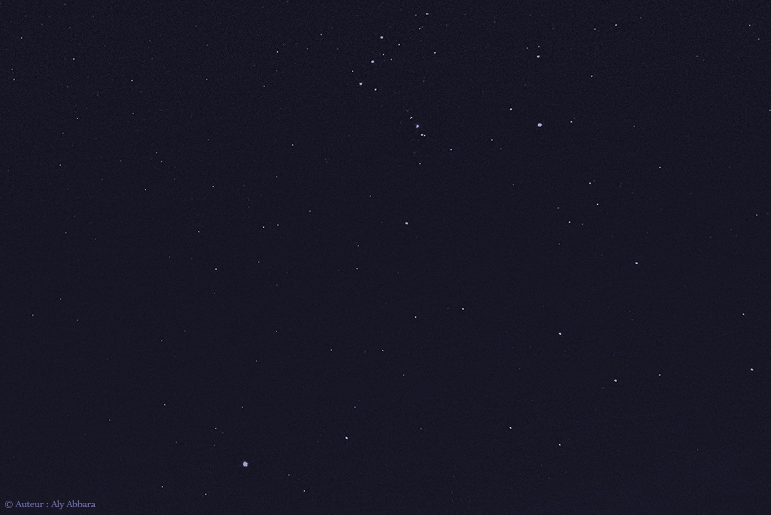 Astronomie - Constellation du Lièvre - Lepus - (Leporis -  Lep) - The Hare