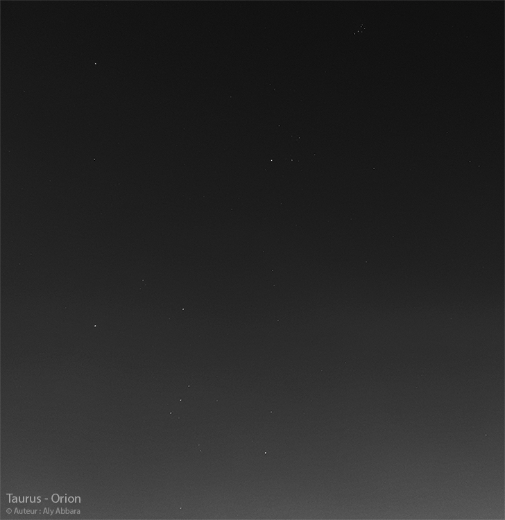 Constellation d'Orion (Ori) et Constellation du Taureau (Taurus) (Tauri)