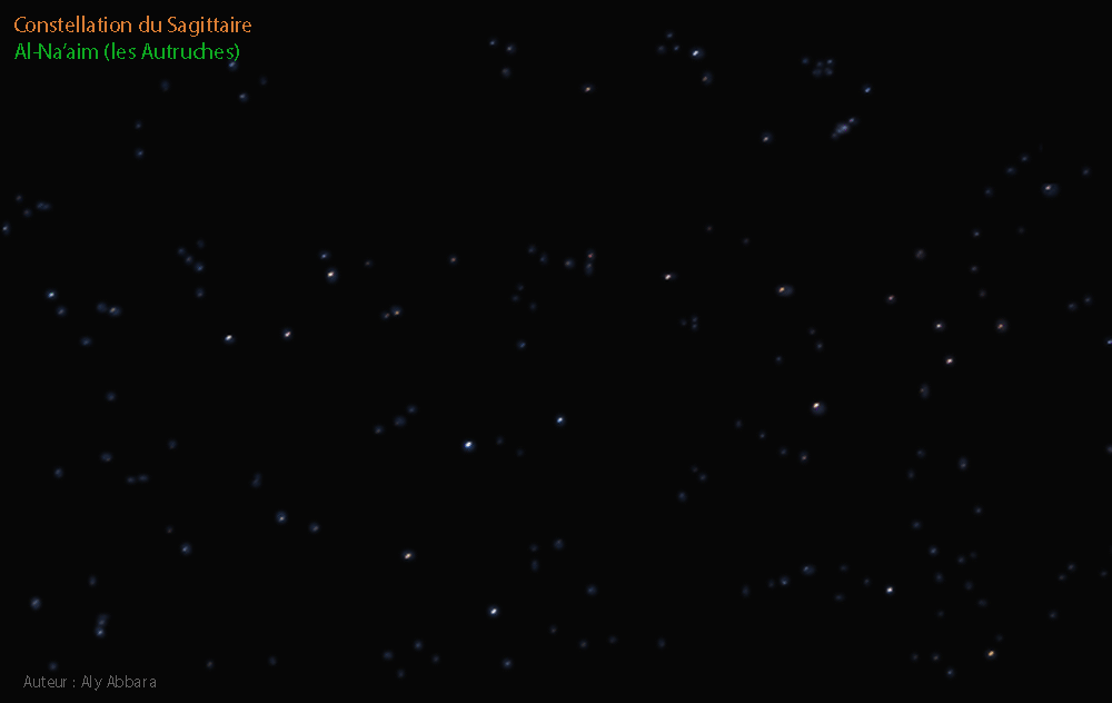 Constellation du Sagittaire - Les autruches - al-Na'aim