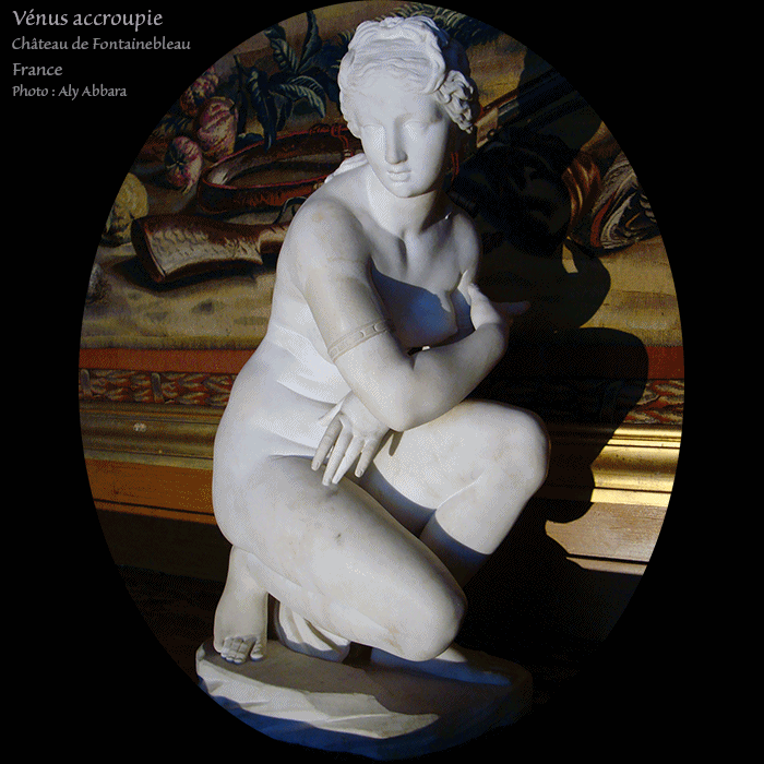 Vnus (Aphrodite) accroupie - Chteau de Fontainebleau - France