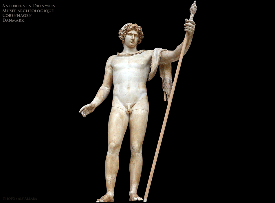 Copenhagen (Copenhague) - Danemark - Musée archéologique - Antinous représenté en Dionysos tenant un thyrse
