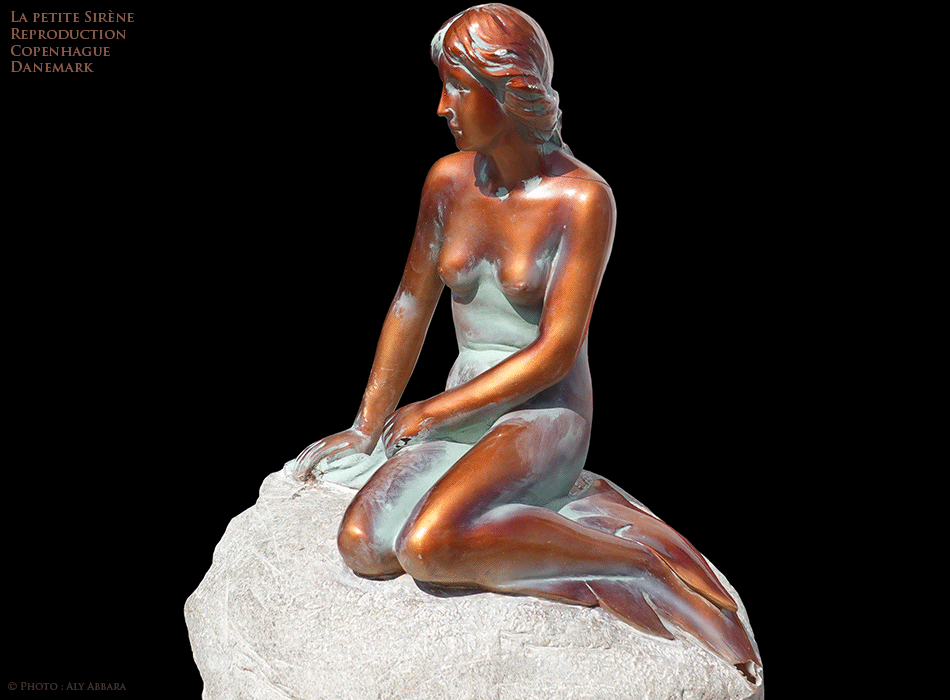 Copenhague - Danemark - La petite Sirène (Little Mermaid - Den Lille Havfrue) - Une reproduction