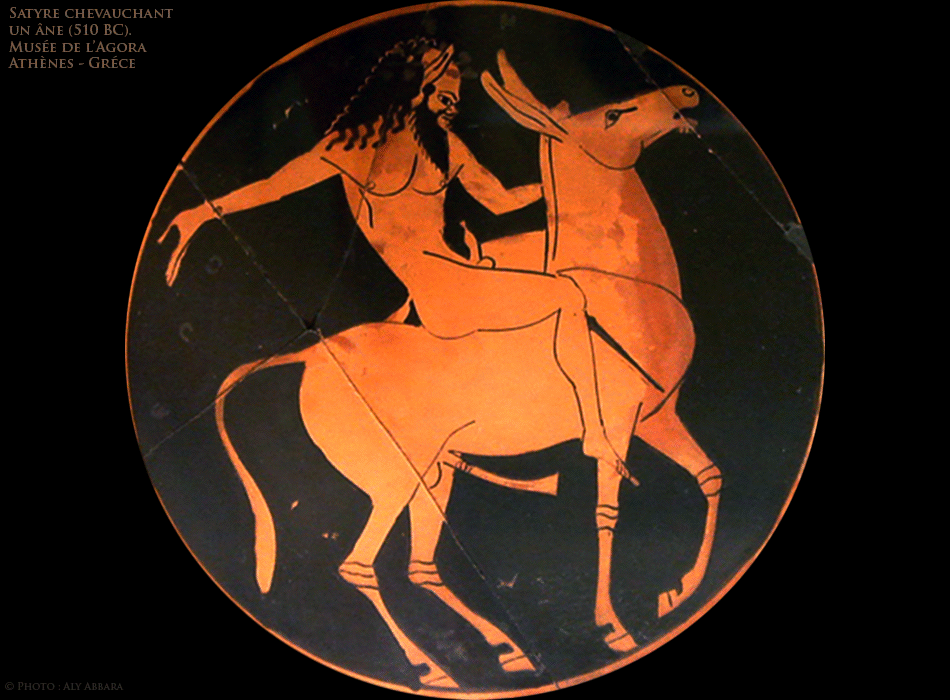 Athènes - Grèce - Musée de l'Agora - Plat en céramique - Satyre ithyphallique chevauchant un âne