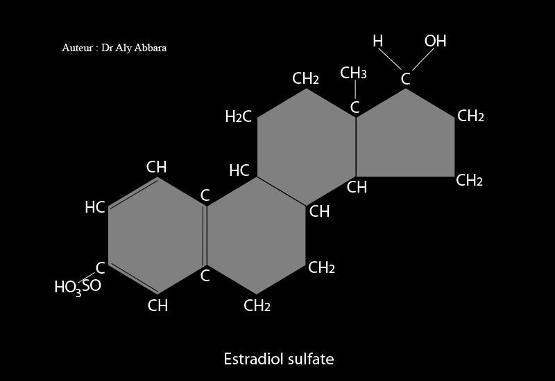 Estradiol sulfate (ou œstradiol sulfate) - dérivé du noyau d'estrane