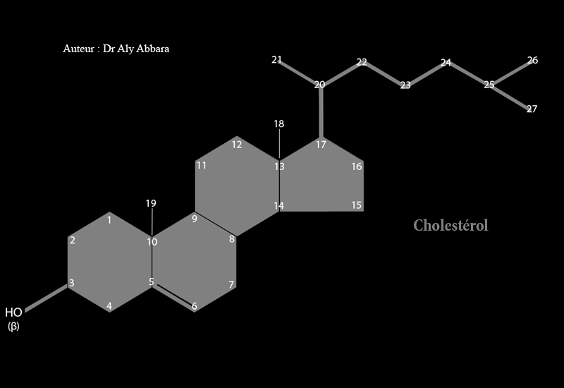 Cholestérol structure chimique