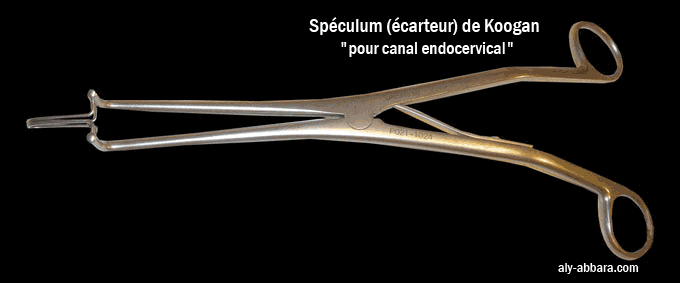 Spéculum de Koogan ou écrateur de Koogan pour explorer le canal  endocervical du col utérin