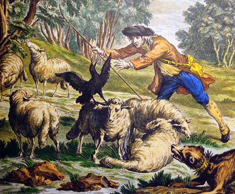 Le corbeau voulant imiter l'aigle - gravure de Jean - Baptiste Oudry