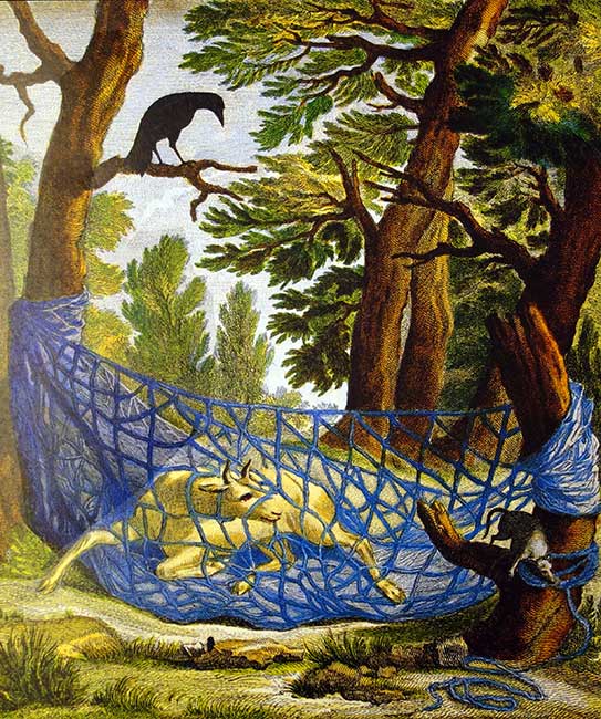 Le corbeau la gazelle la tortue et le rat - gravure de Jean Baptiste Oudry