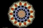 Kaléidoscopie inspirée des couleurs et des textures du Calopsitte
