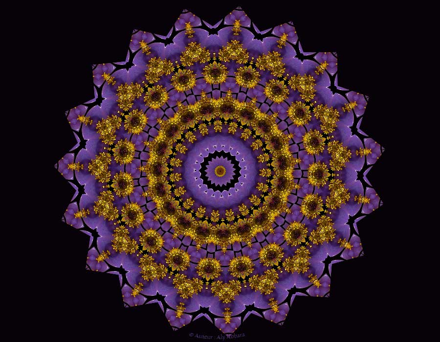 Noria 2016 - Hommage à Hama, la ville des Norias - ناعورة عام 2016 - تكريم لحماة، مدينة النواعير