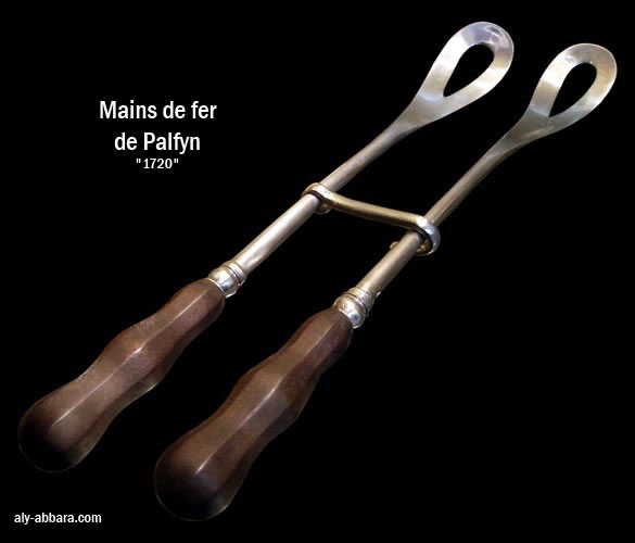 Les mains de fer de Palfyn