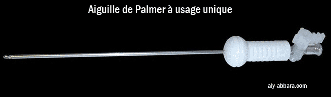 Aiguille de Palmer