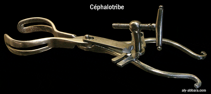 Céphalotribe