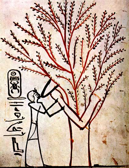 Thoutmosis III allaité par l'arbre sacré
