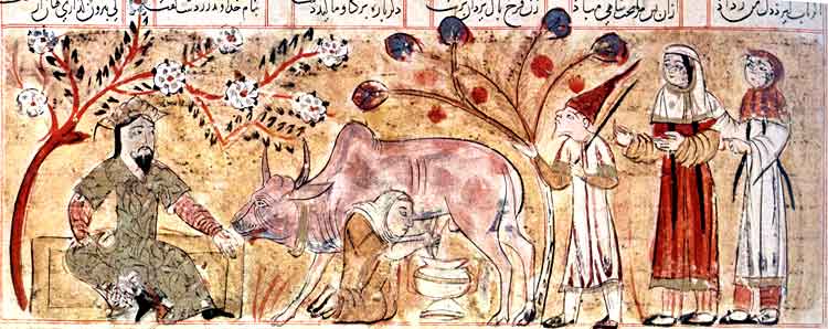 Le Chh-Nma : traite de vache