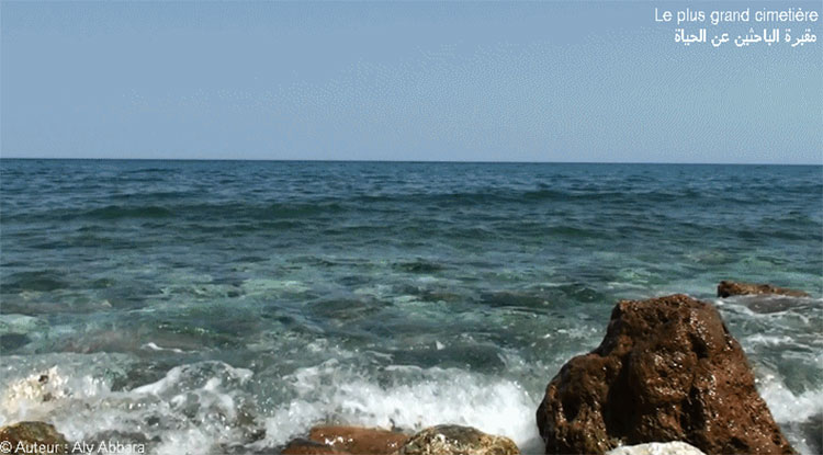 Armée de fourmis déplaçant des grains des plantes vers leur colonie - جيشٌ من النمل ينقل حبوب النبات إلى مستعمرته