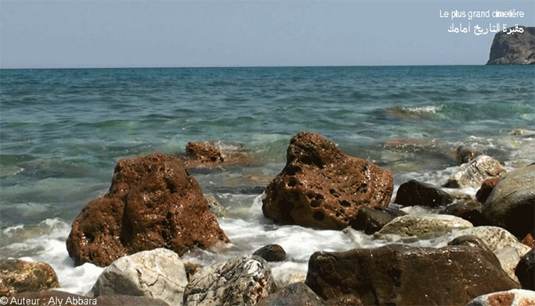 >La mer blanche, cimetière de l'Histoire contemporaine -  البحر الأبيض ؛ مقبرة التاريخ المُعاصر