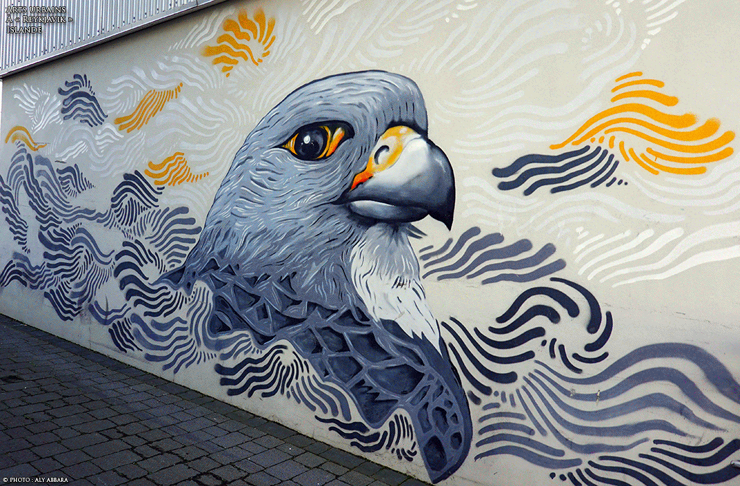 Islande (Iceland) du sud-ouest - Arts urbains à Reykjavik
