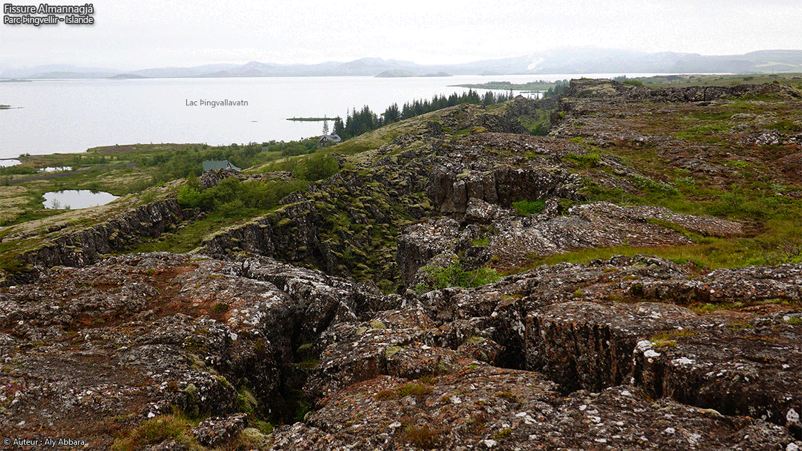 Islande (Iceland) - Faille Almannagjá - Parc national du Parlement þingvellir - Thingvellir