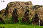Islande (Iceland) nord - La Ferme - Musée de Glaumbær