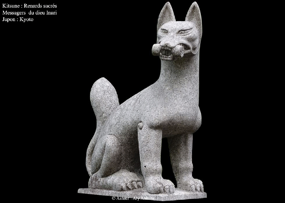 Une famille de Kitsune : les renards messagers d'Inari le dieu du riz et les gardiens de son temple dans le shintoïsme japonais