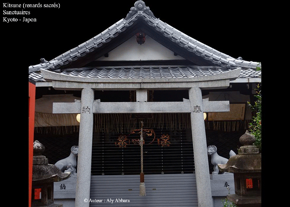 Sanctuaires abritant des statues des Kitsune, les renards messagers du dieu du riz, Inari - Japon