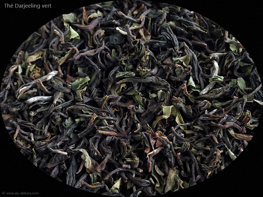 Thé vert roulé