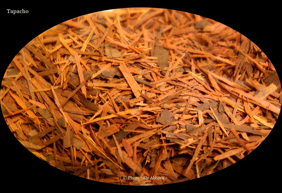 Lapacho : les thé des Indiens