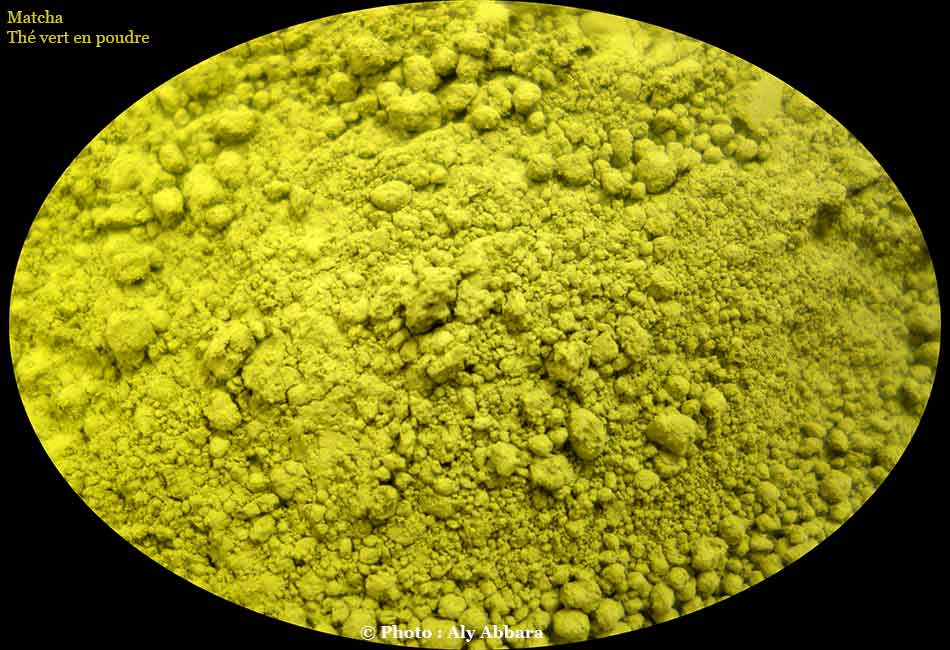 Thé vert en poudre (matcha) consommé lors de la cérémonie du thé au Japon